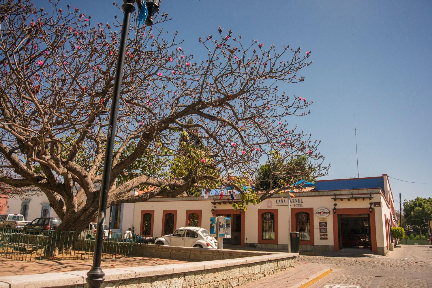 Hotel Casa Arnel Oaxaca Buitenkant foto
